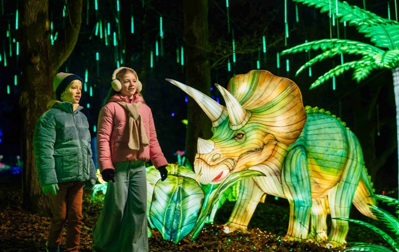 2025荷兰贝克赛贝尔哼