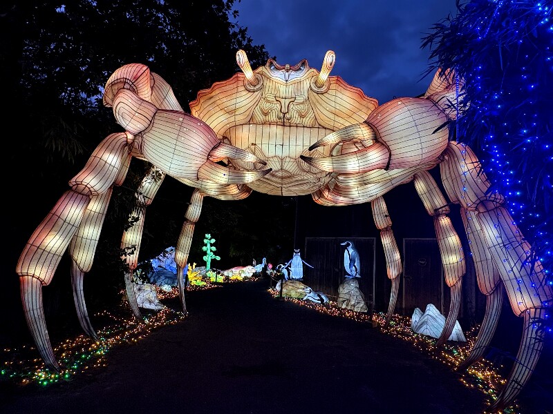 2025法国昂内维尔