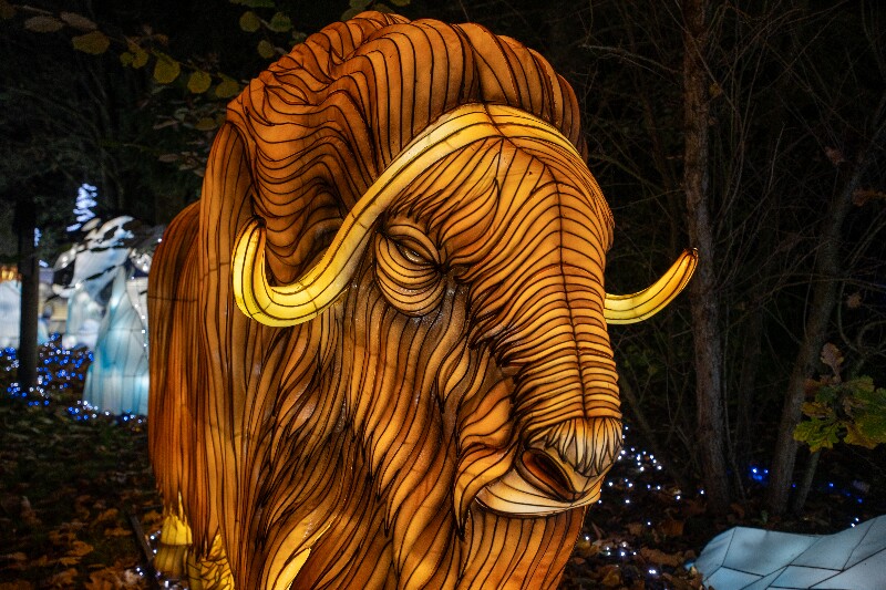 2025德国塞伦盖蒂