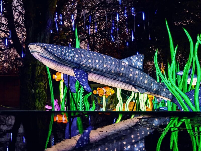 2025伯明翰中国彩灯节，荒野之光震撼启幕！