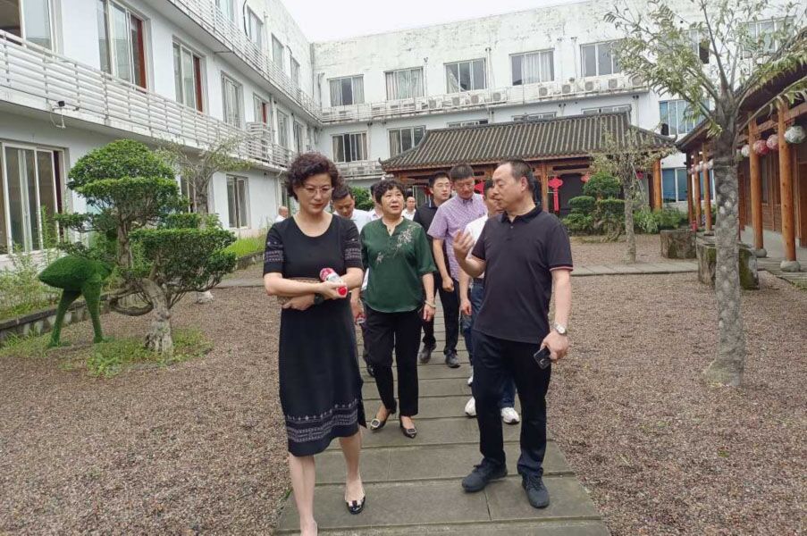 加强国际传播能力建设·提升国际传播影响力|民盟四川省委副主委董凡一行莅临灯彩集团调研